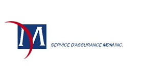 MDM Insurance Services logo